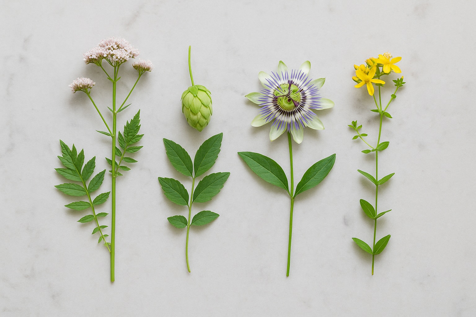 Rezepte für guten Schlaf